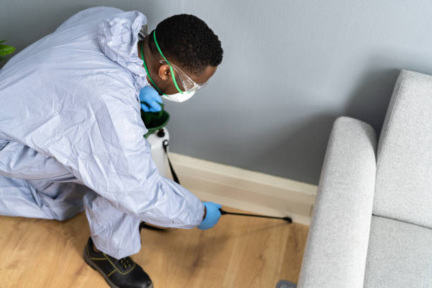 Emergency Pest Control Services in Northdale, FL